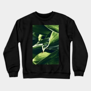 Green Wall Art.Leaf and Drop. Crewneck Sweatshirt